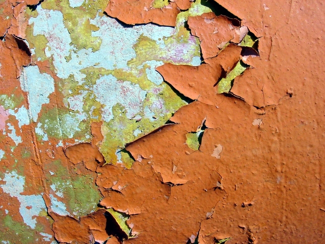 Old Lead Paint – University Painters