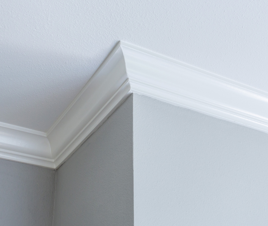 professional-trim-mold-services